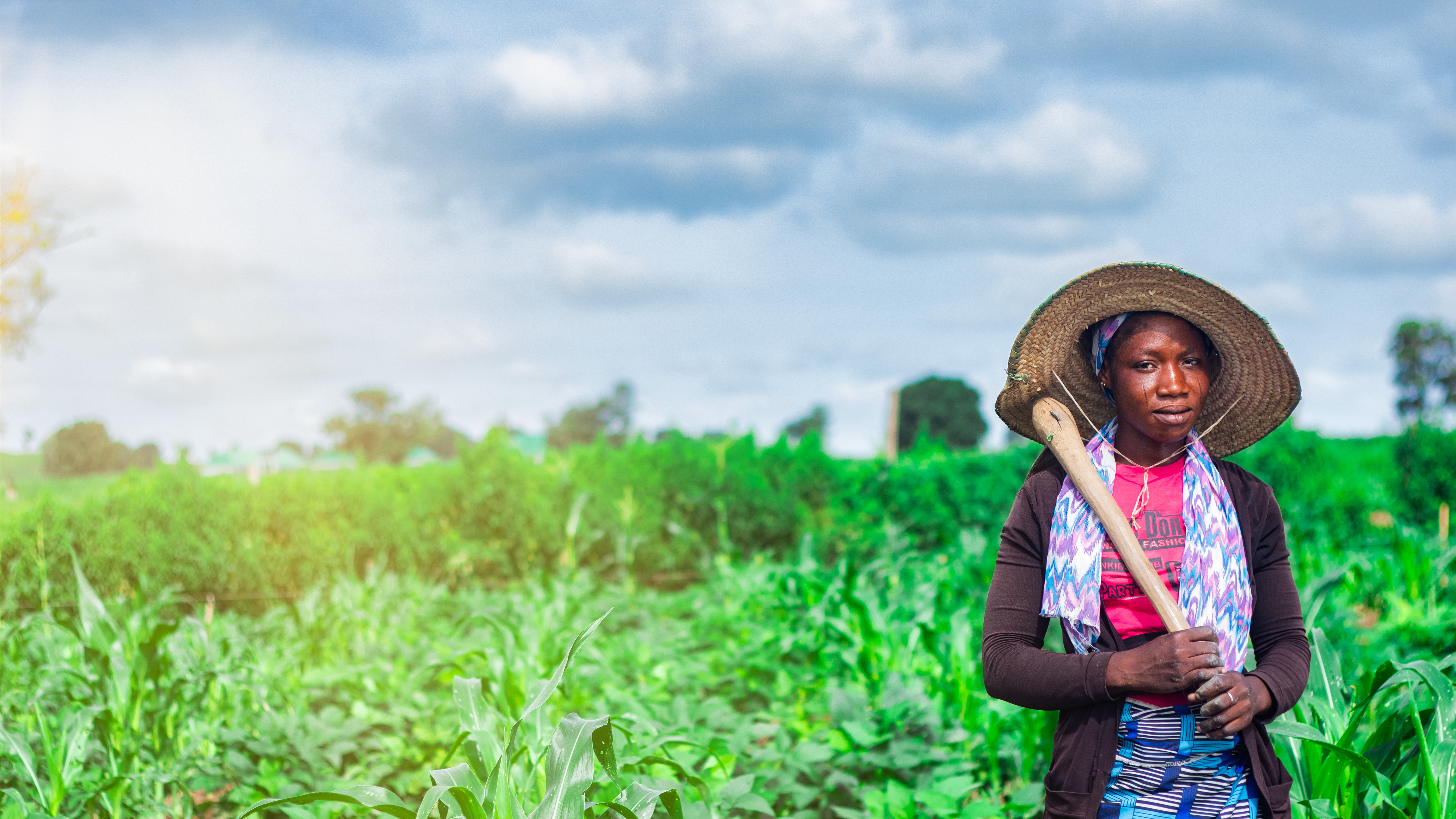 Agriculture and Food Security